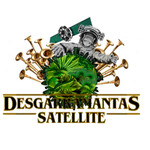 Desgarramantas Satellite