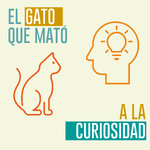 El gato que mató a la curiosidad