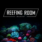 Reefing Room