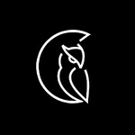NIGHTLIFE TEAM