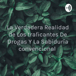 La Verdadera Realidad de Los traficantes De Drogas Y La Sabiduría convencional 