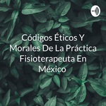 Códigos Éticos Y Morales De La Práctica Fisioterapeuta En México