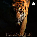 Tigers After the Bell