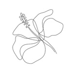 Auditoría administrativa 