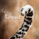 The Leopard Voyage Podcast: Exploring Africa's Best Destinations