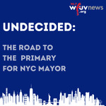 Undecided: The Road to the Primary for NYC Mayor