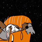 story story night
