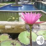 Righteous Alignment Podcast