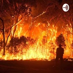 Australian Wildfires