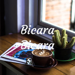 Bicara Bicara