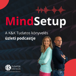 MindSetup – a Tudatos Könyvelés vállalkozófejlesztői podcastje