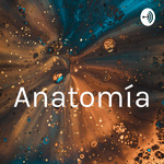 Anatomía 