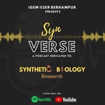 SynVerse