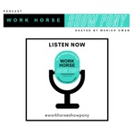 Workhorse Showpony