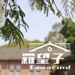 羅望子