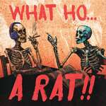What Ho...A Rat!!