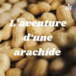 L’aventure d’une arachide 
