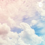 WPT NEWS