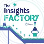 The Insights Factory