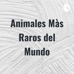 Animales Màs Raros del Mundo