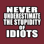 The 2 Idiots Inc Podcast
