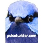 PULSOTWITTER.COM