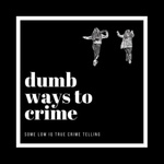Dumb Ways to Crime