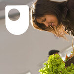 Ebusiness technologies: foundations and practice - for iPad/Mac/PC