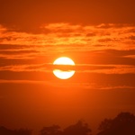 Kawan Senja