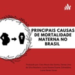 Principais Causas De Mortalidade Materna No Brasil