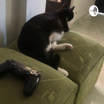 El diario de videojuegos de Fabián 