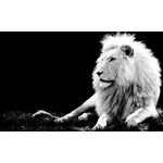 school of dating's Podcast