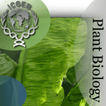 Plant Biology