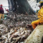Podcast- A Pesca Preadatória Em Goiás