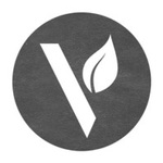 Vineyard Church of Hopkinton