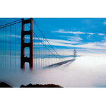 icanseebetterthroughfog