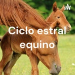 Ciclo estral equino