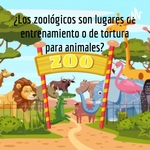 ¿Los zoológicos son lugares de entrenamiento o de tortura para animales?