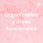 Organizacion y áreas funcionales