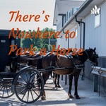 There's Nowhere to Park a Horse