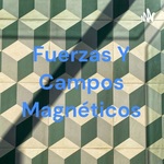 Fuerzas Y Campos Magnéticos