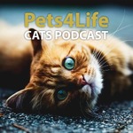 Pets4Life Cats