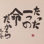 ワンライフプロジェクト