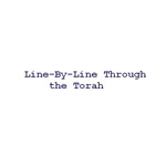 The Bliss Buzz - Power 15: Line By Line Through the Torah