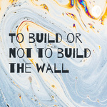 To build or not to build the wall