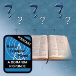 A domanda risponde
