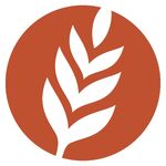 The Woodlands Methodist Church: Harvest Audio