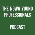 The Ngwa Young Professionals Podcast