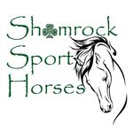 Shamrock Sport Horses