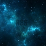 NSS